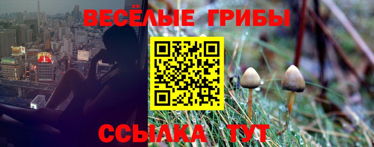 Волгоград  Псилоцибиновые грибы ЛСД  Галлюциногенные грибы прущие грибы  Вход с VPN 